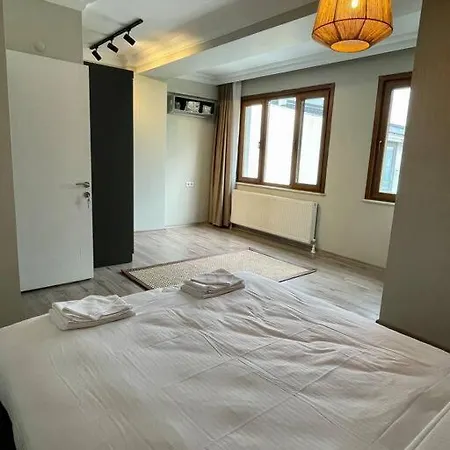 Apartament Renovu Premium Homes In Cihangir