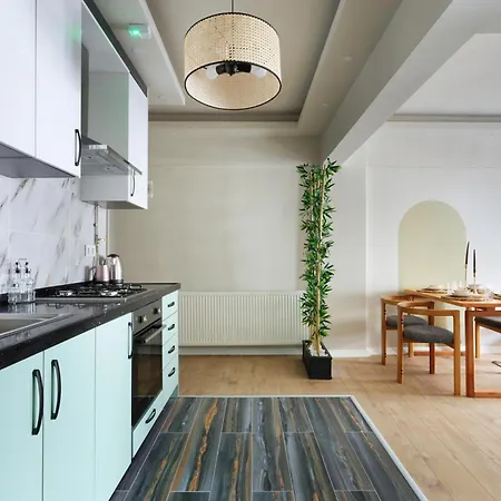Renovu Premium Homes In Cihangir * Estambul